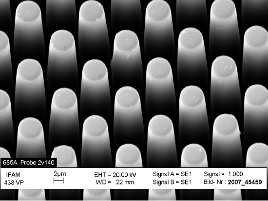 CellForce Sensor Measures Footprint And Migration Of Cells